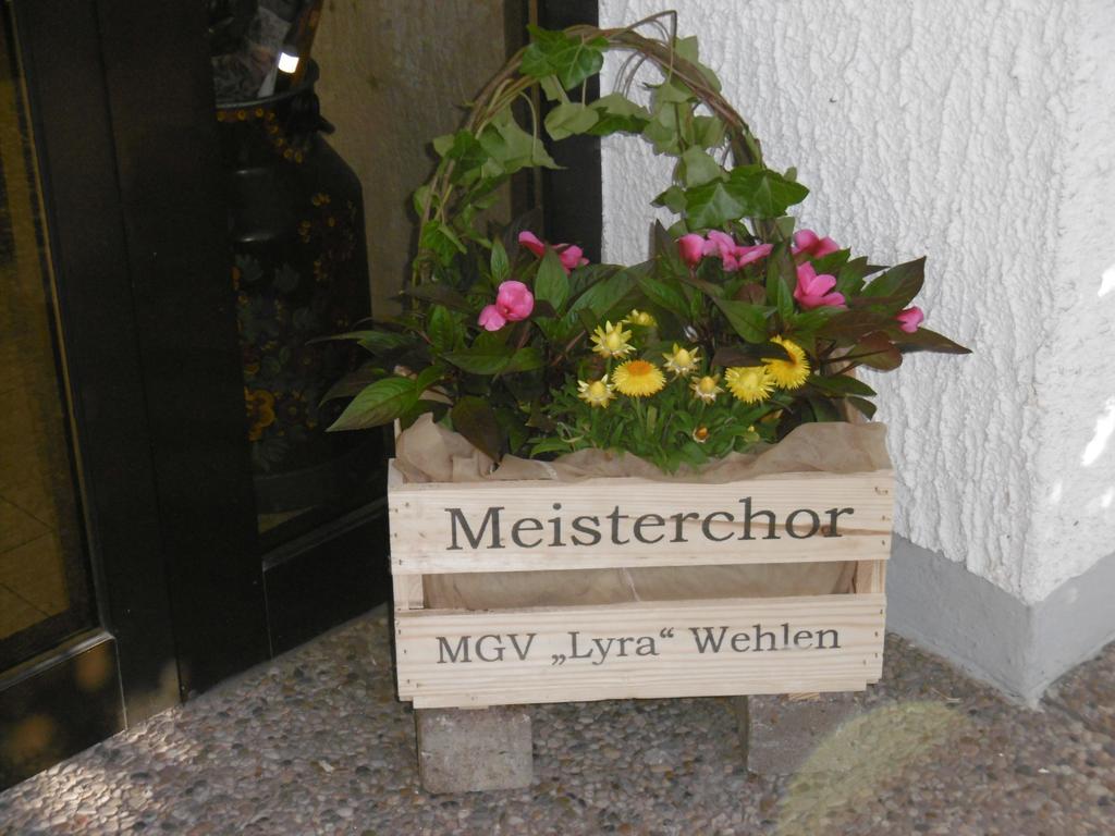 Haus Hochwaldhoehe モールバッハ エクステリア 写真